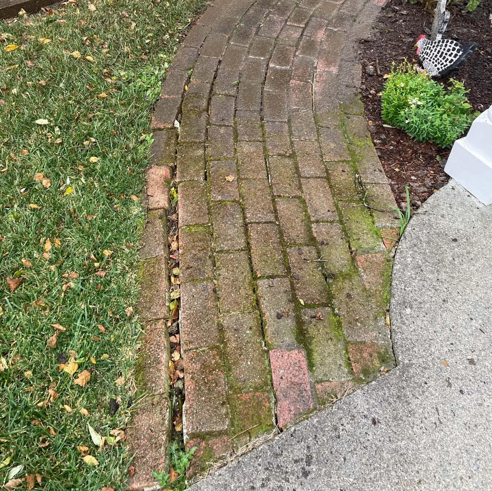 moss covered pavers