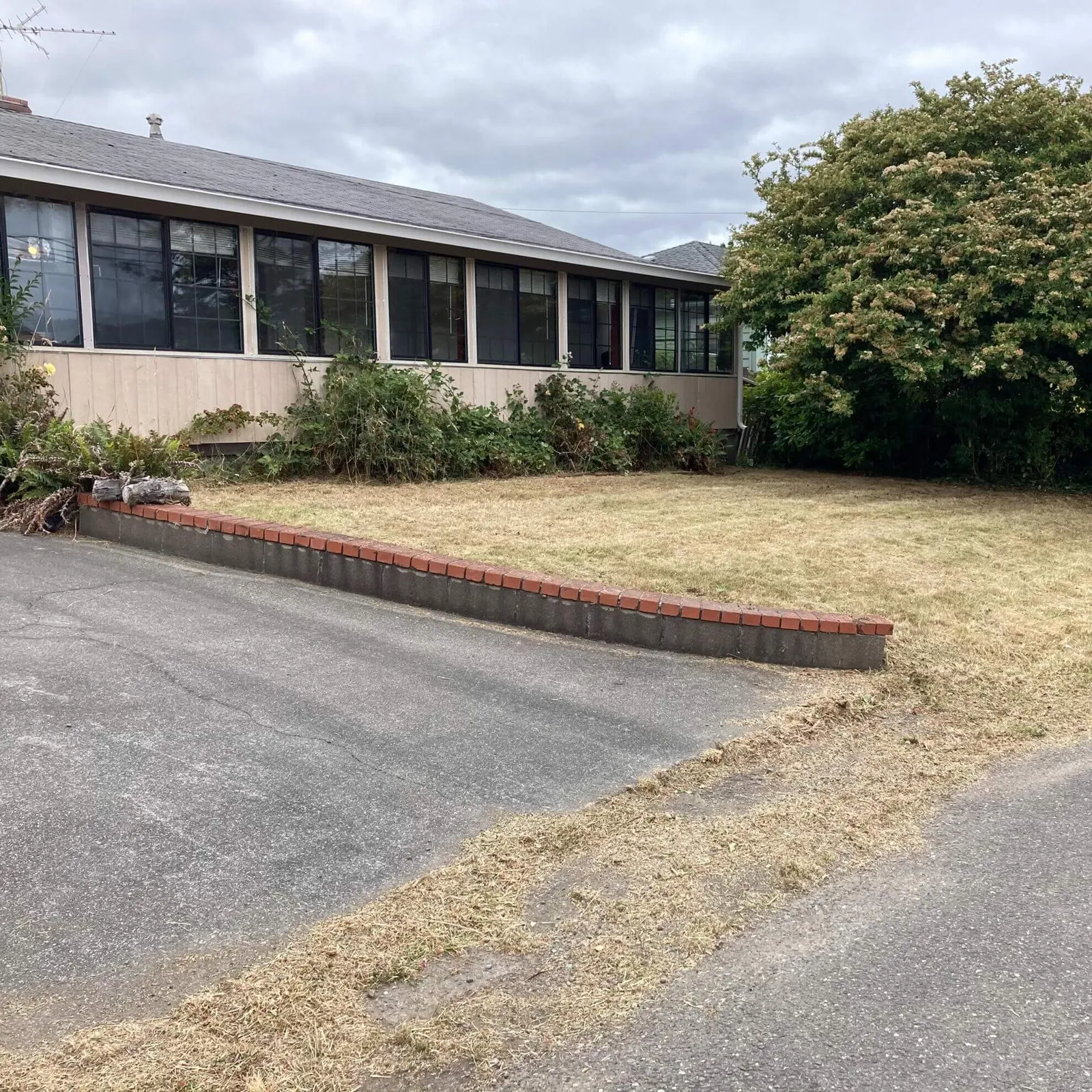 trimmed lawn